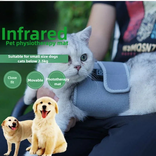 Pawjoy LED Red Light Therapy Pad ๐พ โ wearable infrared pad for dogs, cats, and horses to soothe muscles and joints.