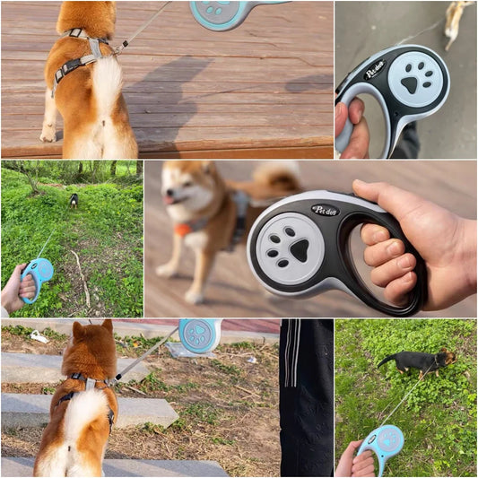 Pawjoy Retractable Dog Leash ๐พ โ 3m/5m durable nylon lead for small, medium, and large dogs. Perfect for safe outdoor walks.