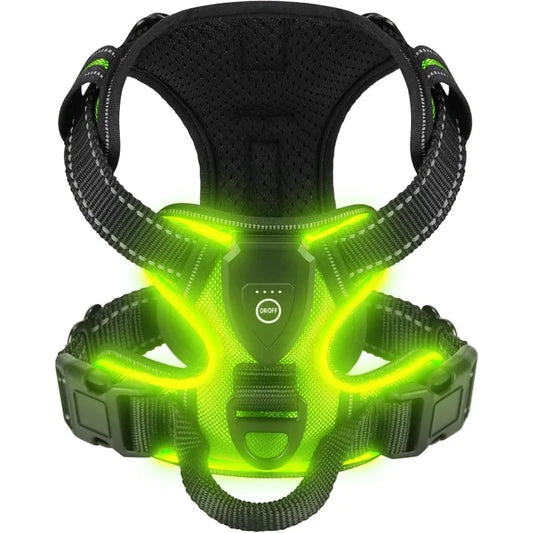 Pawjoy LED Dog Harness 🐾 — glowing, rechargeable harness with 3 light modes for safe nighttime walks.