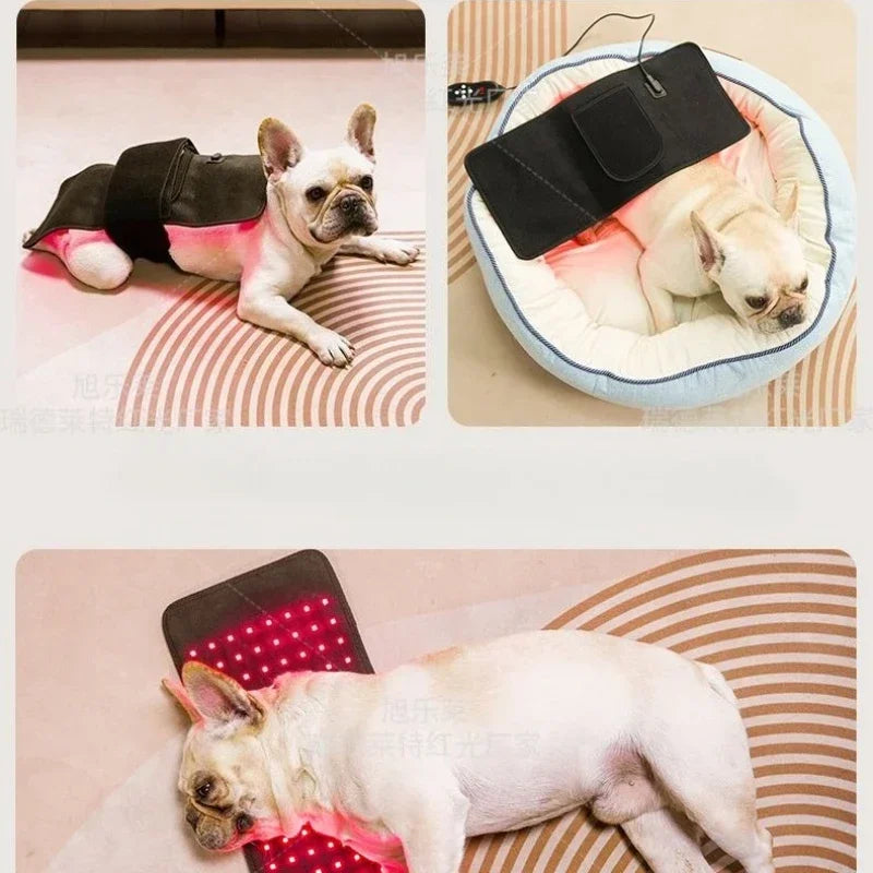 Pawjoy LED Red Light Therapy Pad 🐾 — wearable infrared pad for dogs, cats, and horses to soothe muscles and joints.