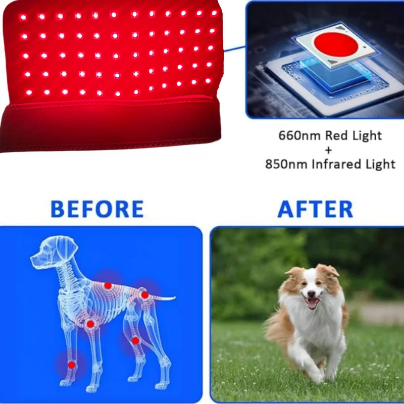 Pawjoy LED Red Light Therapy Pad 🐾 — wearable infrared pad for dogs, cats, and horses to soothe muscles and joints.