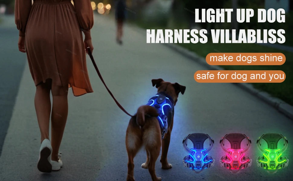 "Pawjoy"LED Glowing Luminous Dog Harnesses Essential for Dog Walking Safety at Night Dog Vest with Three LED Light Modes Rechargeable