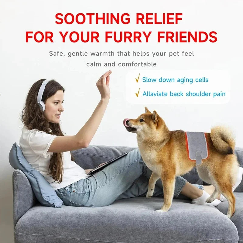 Pawjoy LED Red Light Therapy Pad 🐾 — wearable infrared pad for dogs, cats, and horses to soothe muscles and joints.