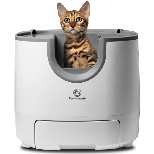 Pawjoy Self-Cleaning Litter Box 🐱✨ — mess-free, odor-free, and extra spacious comfort for happy cats and stress-free owners.