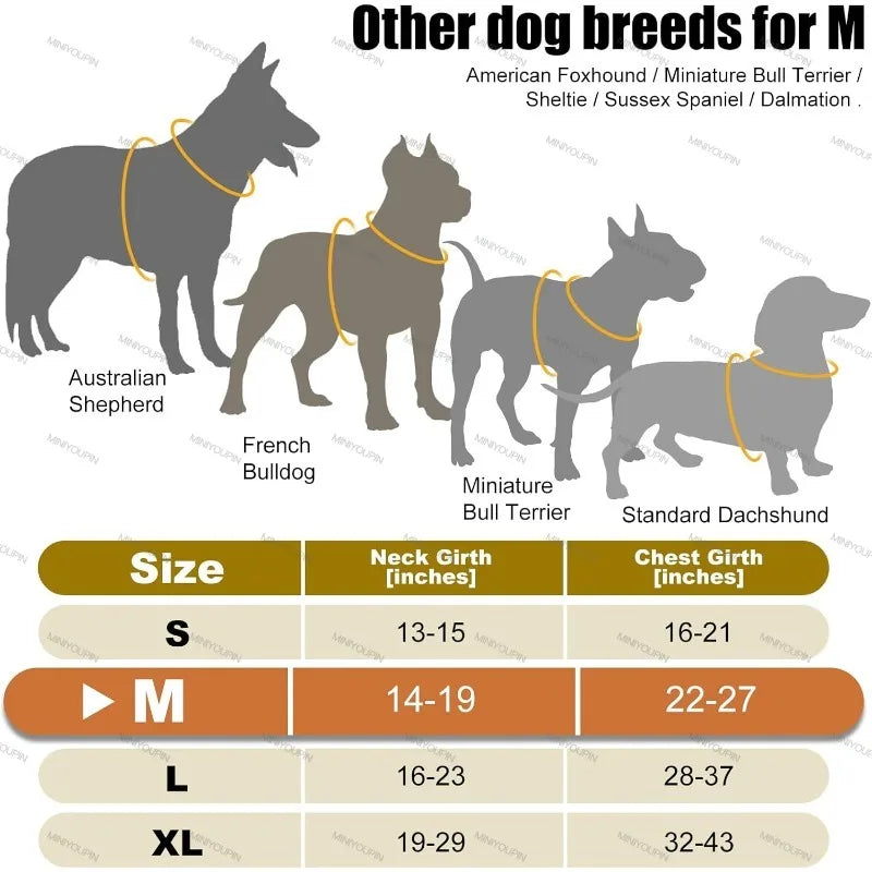 "Pawjoy"LED Glowing Luminous Dog Harnesses Essential for Dog Walking Safety at Night Dog Vest with Three LED Light Modes Rechargeable