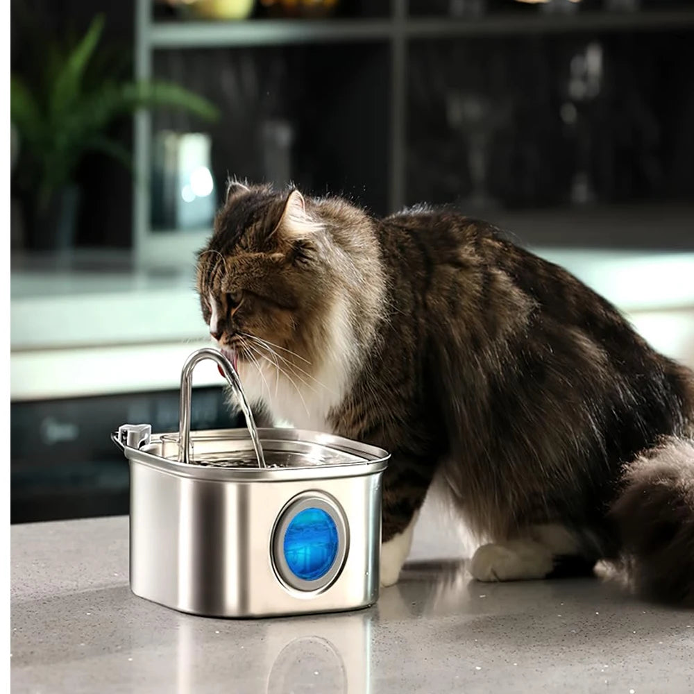"Pawjoy"ZYFeeder 2.2L Automatic Cat Water Fountain Square Stainless Steel Pet Water Feeder Dog Water Fountain with window（No 5V 1A Plug）