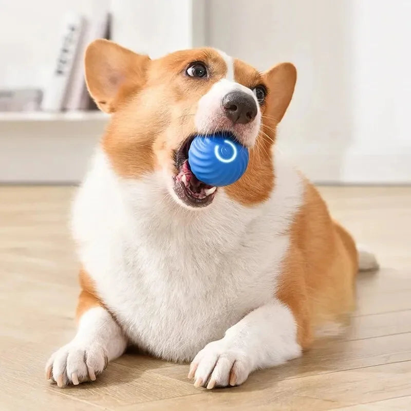 "Pawjoy"Smart Dog Toy Ball Electronic Interactive Pet Toy Moving Ball USB Automatic Moving Bouncing for Puppy Christmas gift Cat Product