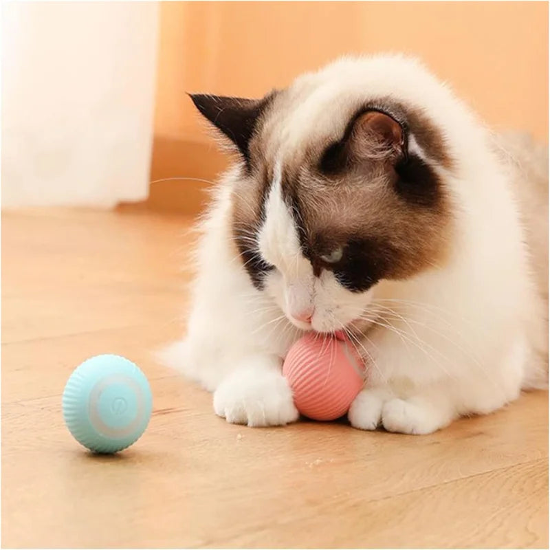 "Pawjoy"Smart Dog Toy Ball Electronic Interactive Pet Toy Moving Ball USB Automatic Moving Bouncing for Puppy Christmas gift Cat Product