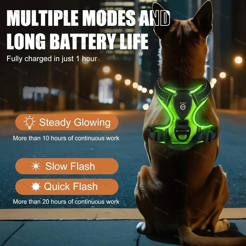 "Pawjoy"LED Glowing Luminous Dog Harnesses Essential for Dog Walking Safety at Night Dog Vest with Three LED Light Modes Rechargeable